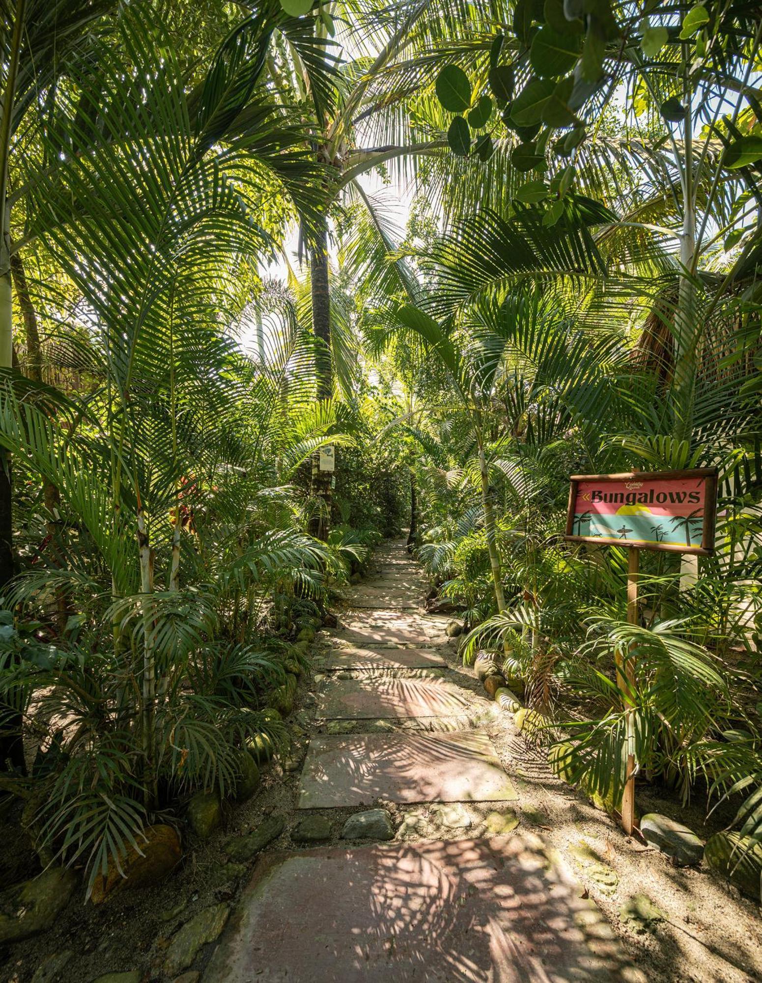 Guest house Costeno Beach Santa Marta (Magdalena)